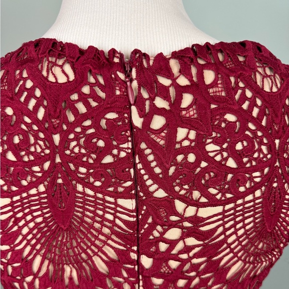 Stunning Burgundy Lace Bodycon - Picture 8 of 9
